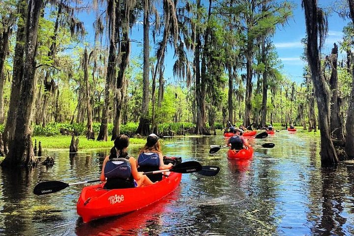 Small-Group Manchac Swamp Kayak Tour - Photo 1 of 8